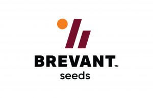 Brevant